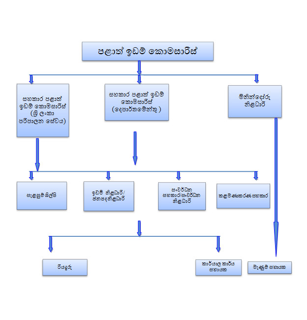 Organization structure of the Land Commissioner’s Department - Central Provincial Council, Sri Lanka